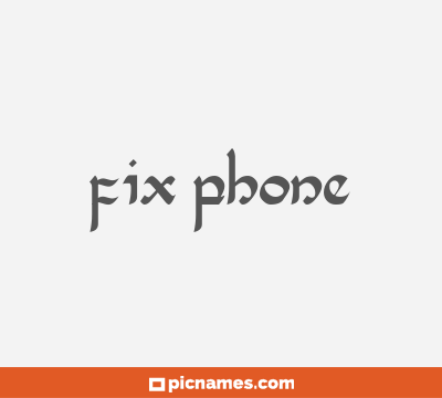 Fix Phone